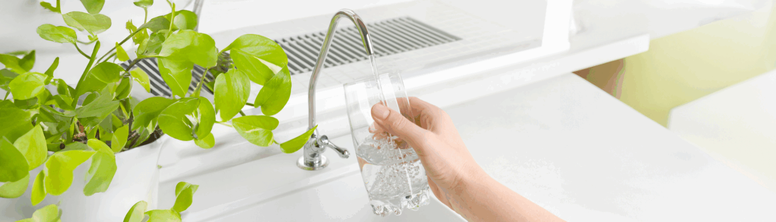 filter pitcher water purification