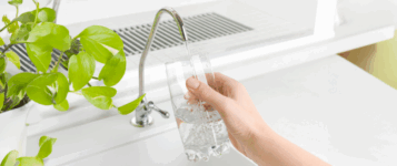 filter pitcher water purification